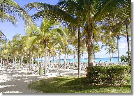 Umkreissuche: Hotel RIU Yucatan - Strand