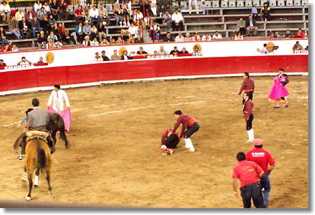 Stierkampf in Mexiko - ...und manchmal gewinnt der Stier!